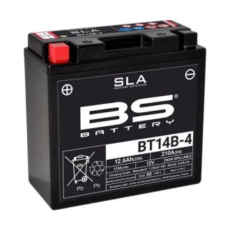 23338